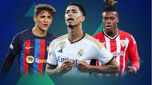 从而增加对 从而增加对